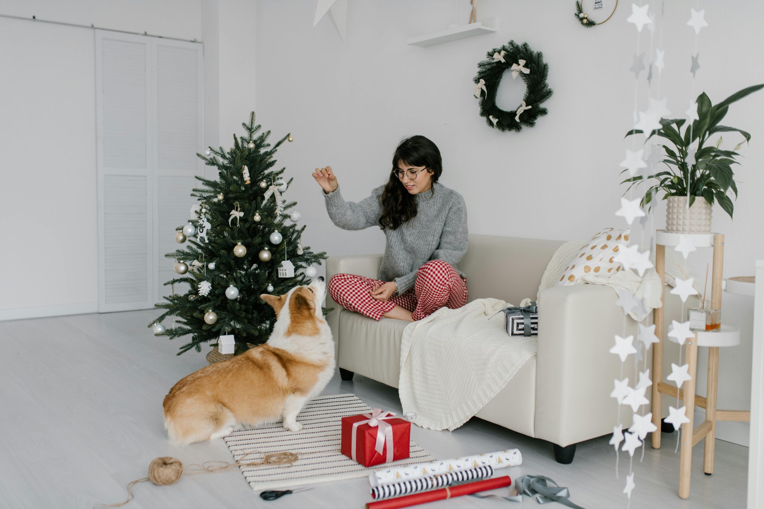 A frustrated pet owner trying to teach her dog tricks