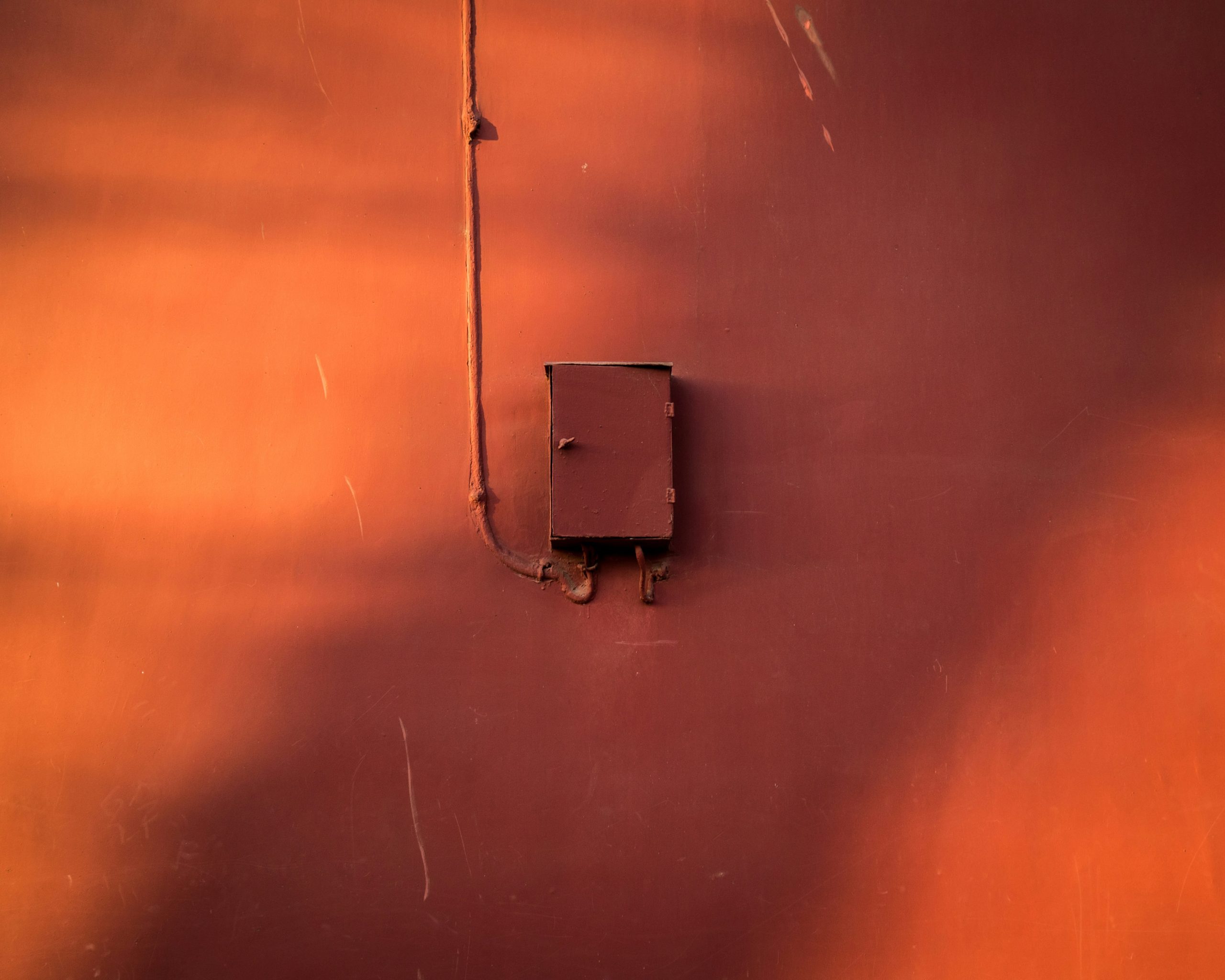 A border collie pressing a light switch off with its nose