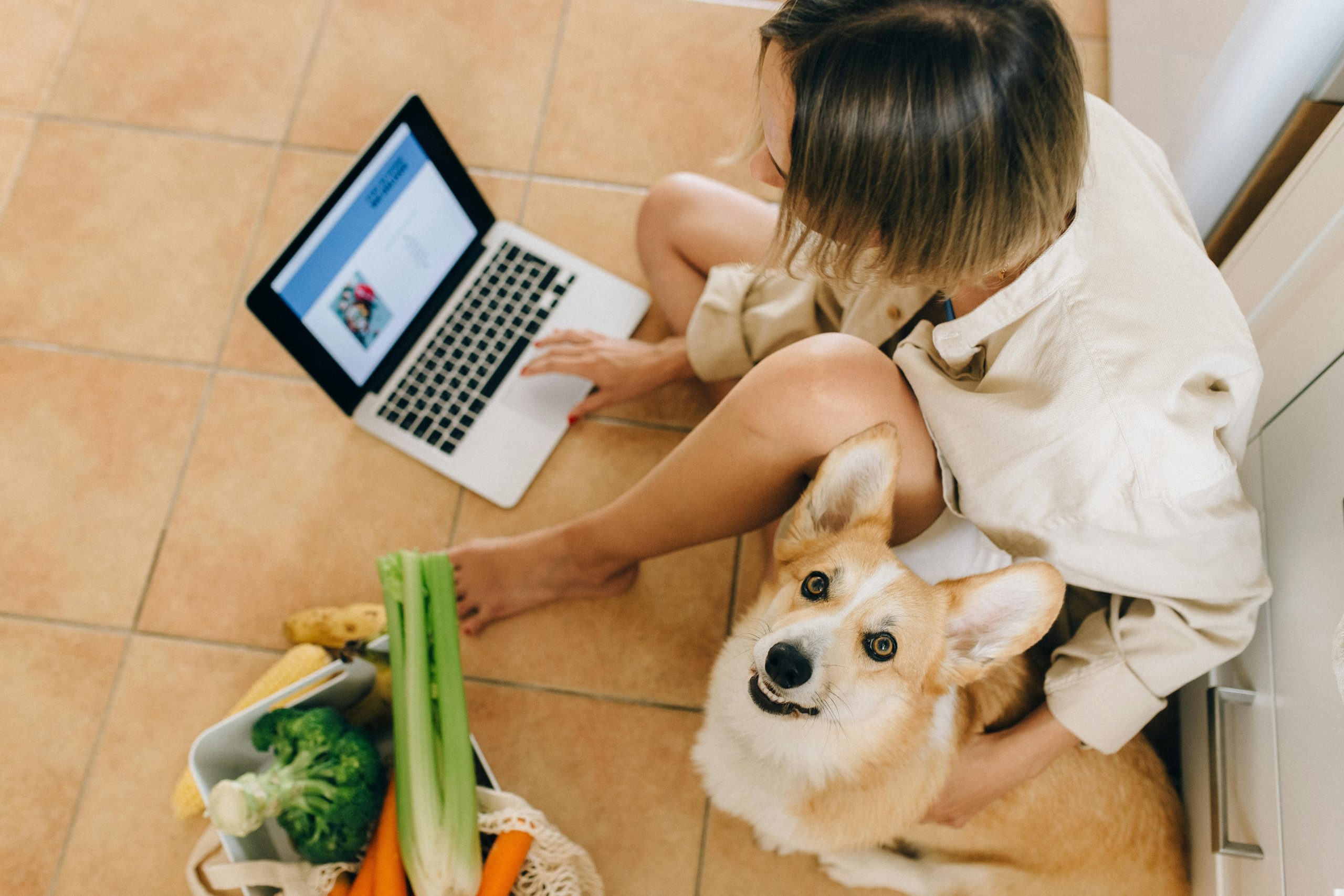 A service dog trained to pick up dropped items, such as wallets or keys, from the floor.