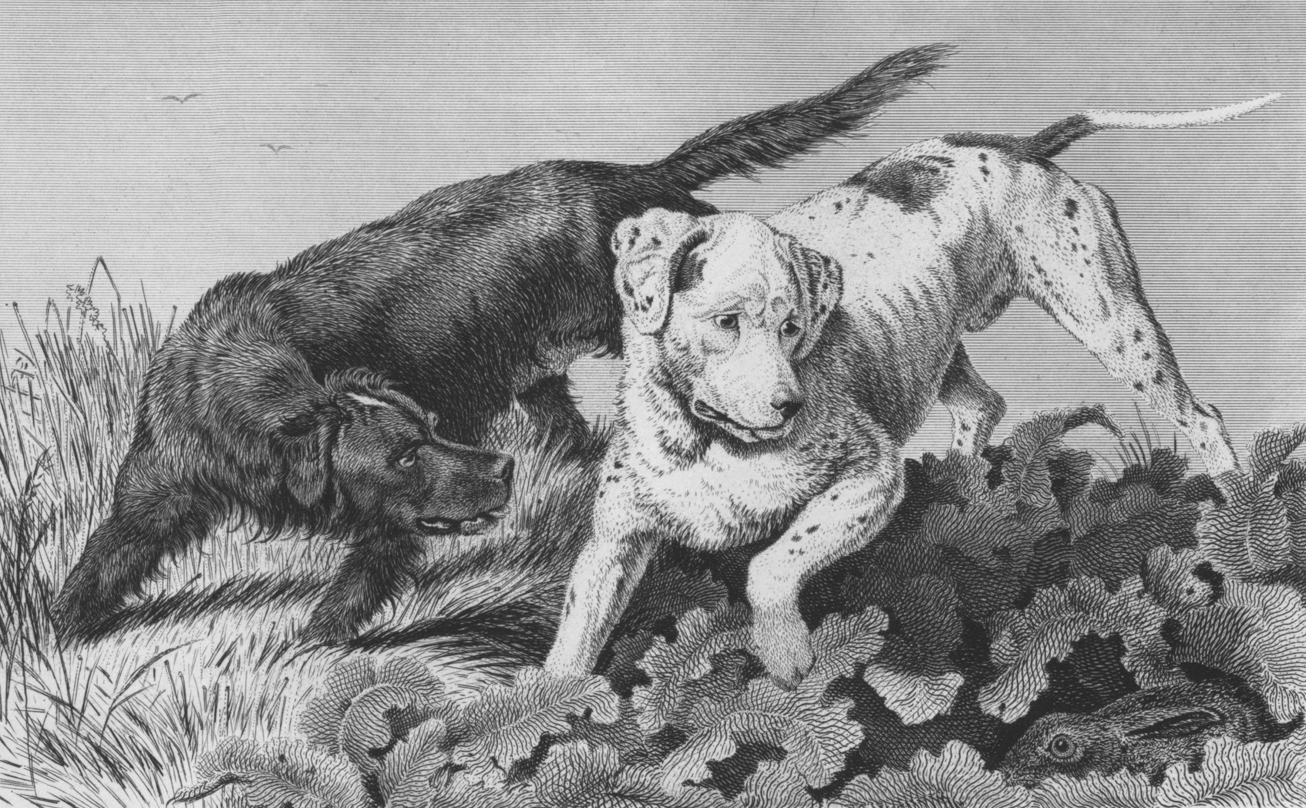 Illustration showing pet owner offering open palm near a cautious dog.