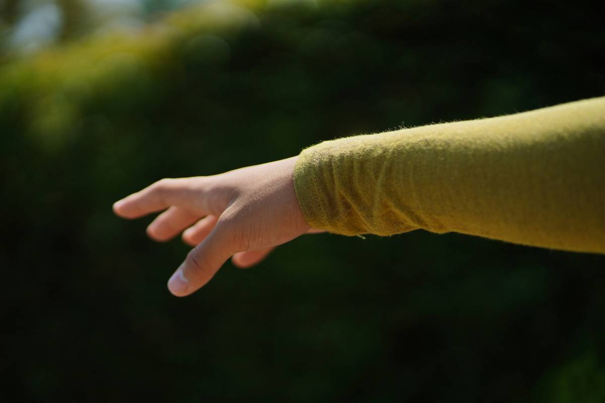 A person holding their hand toward a focused dog ready to perform hand targeting.