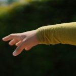 Hand Targeting for Beginners: Unlock the Secret to Effortless Pet Training
