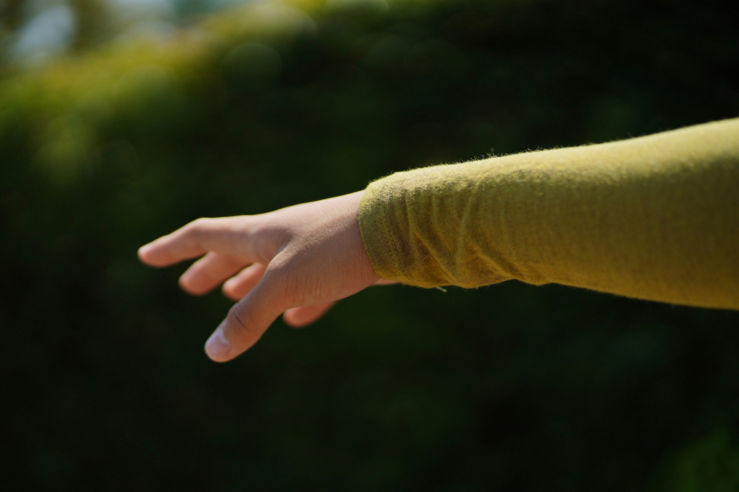 Hand Targeting for Beginners: Unlock the Secret to Effortless Pet Training