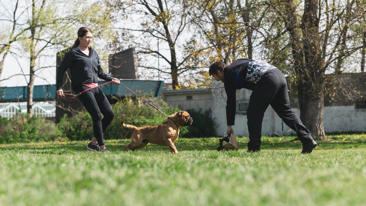 A smiling woman holding her dog after successful training