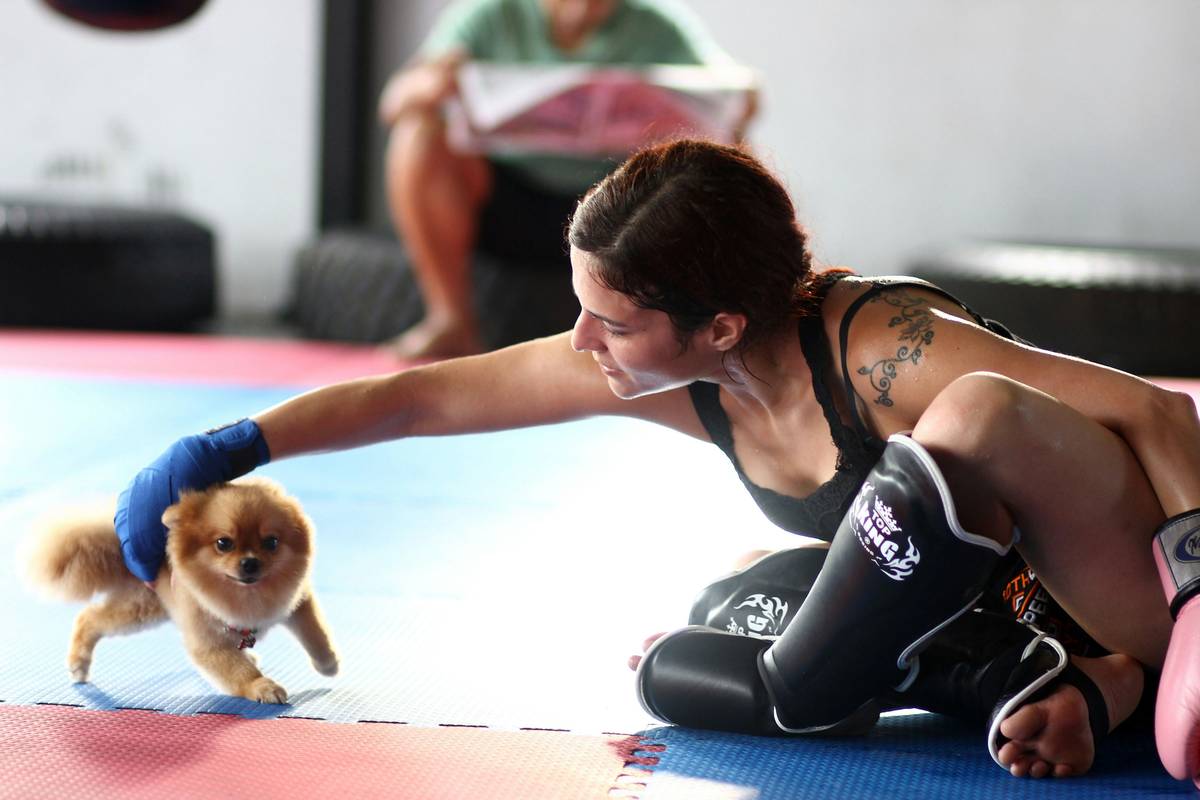 Dog Trick Refinement: Mastering Target Training for Stellar Pet Performance