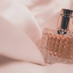 Mastering Hand Targeting for Scent Work: A Pet Trainer’s Guide