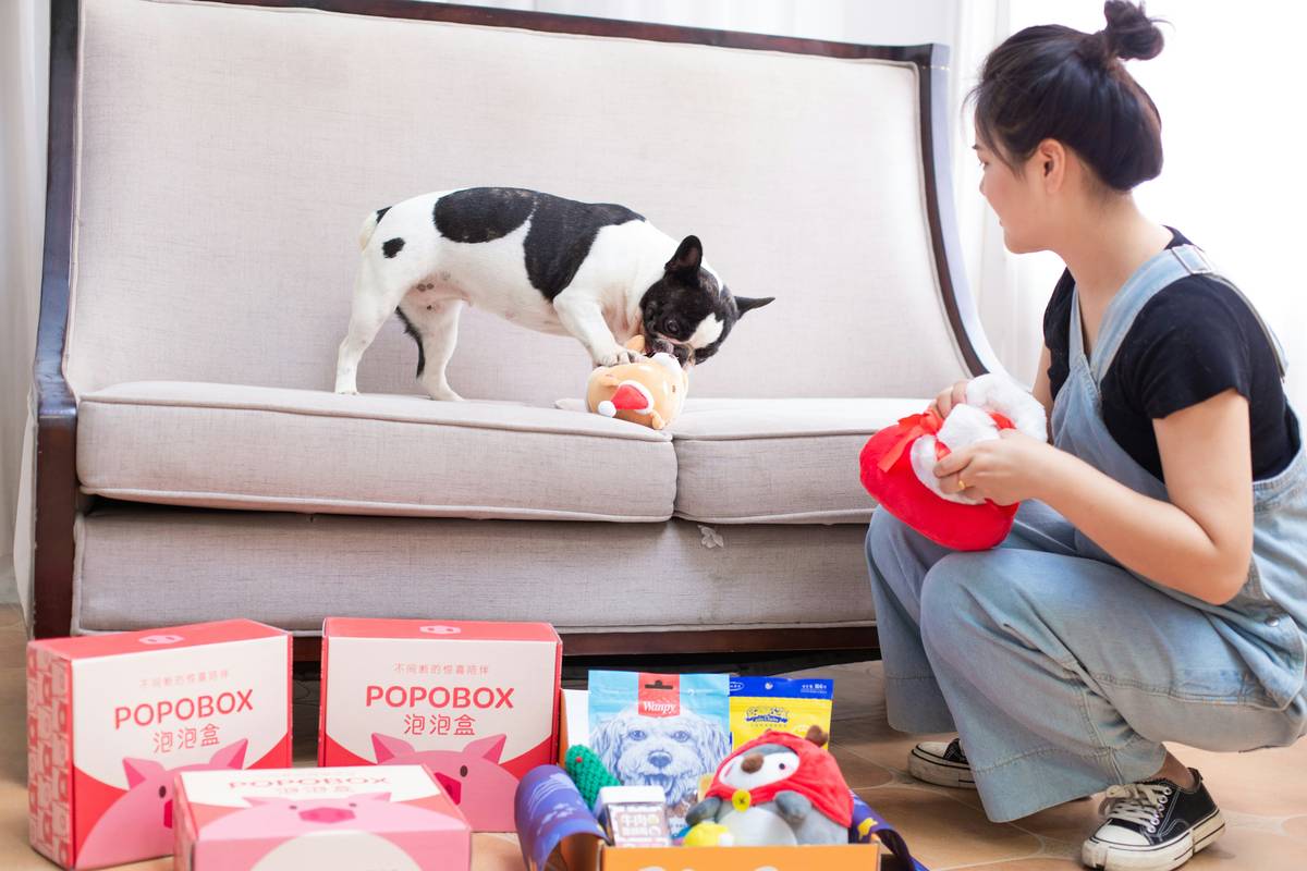 Trainer holding treats during a pet training session