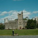 Mastering Hand Targeting for Police Dogs: The Ultimate Guide